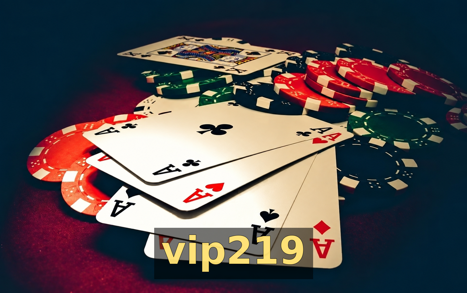 vip219 - Galeria 1