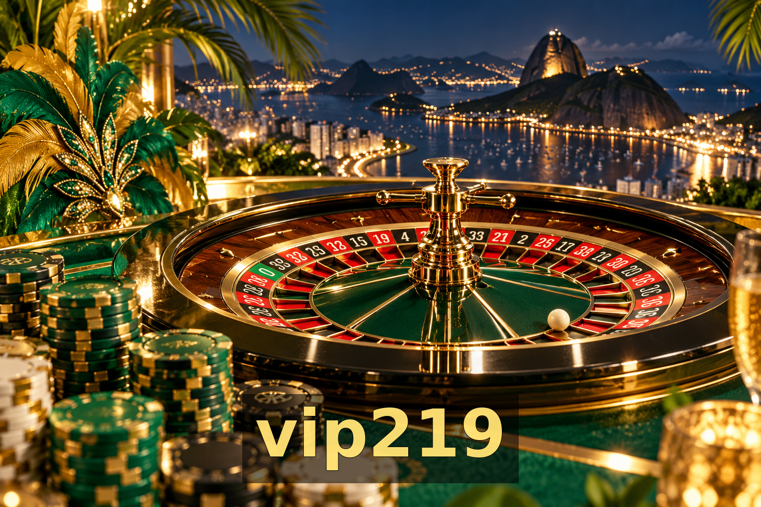 vip219 - Galeria 1