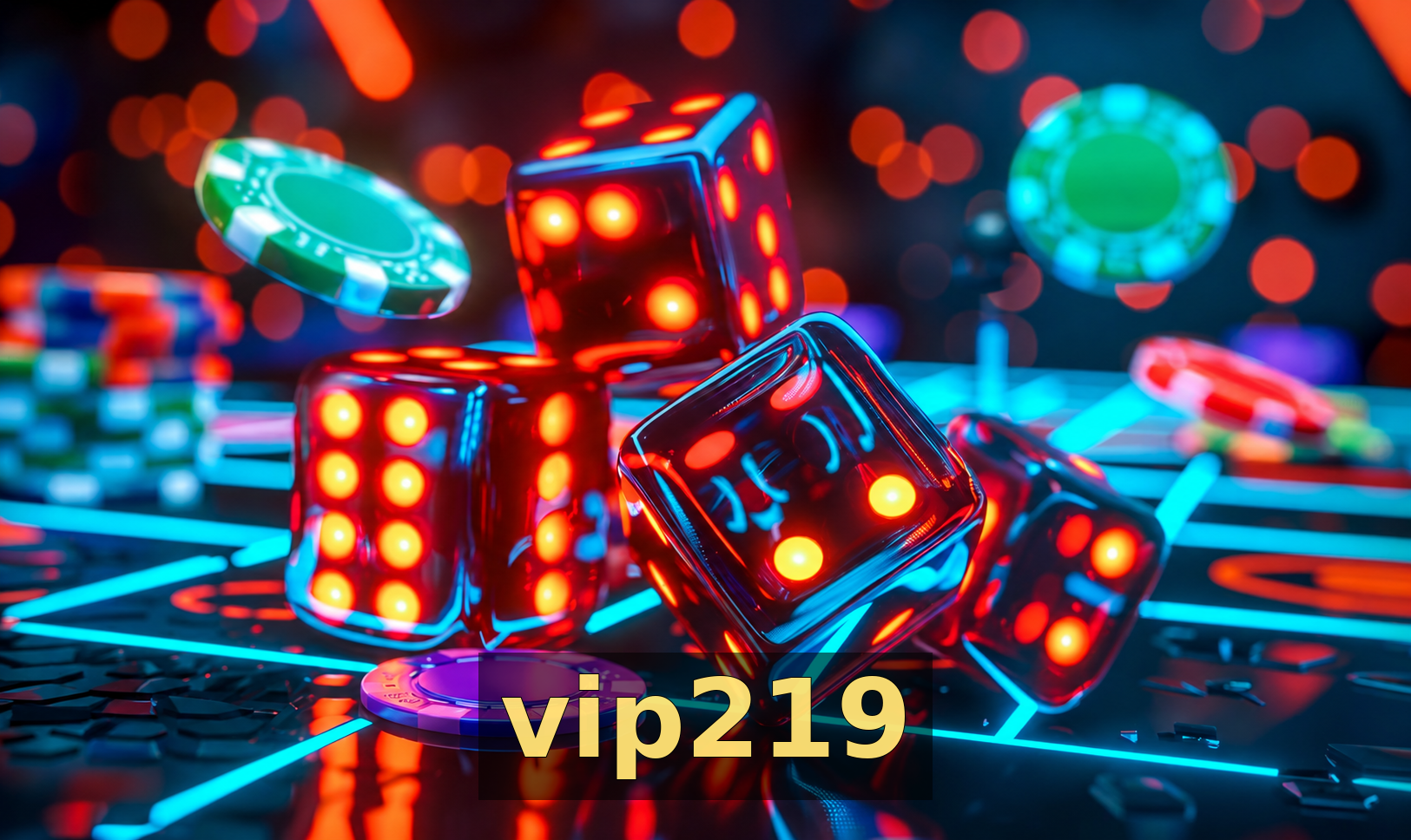 vip219 - Galeria 3